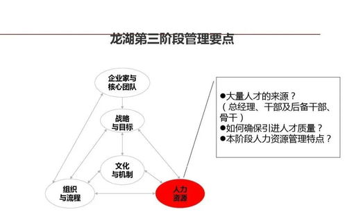 龍湖企業(yè)管理與運營精細化管理的信息咨詢服務