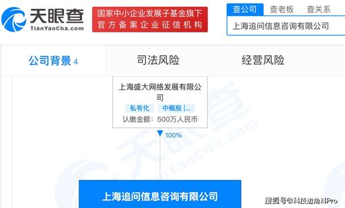 盛大網(wǎng)絡(luò)再落子 成立上海追問(wèn)信息咨詢公司，注冊(cè)資本500萬(wàn)元深耕信息咨詢服務(wù)